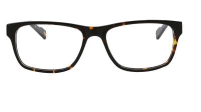 Ralph Tortoise Front