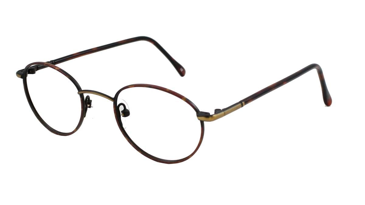 Thomas Tortoise Bronze Frame