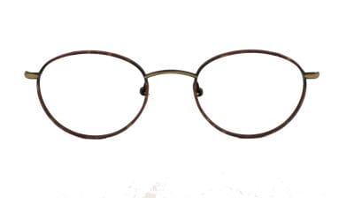 Thomas Tortoise Bronze Front