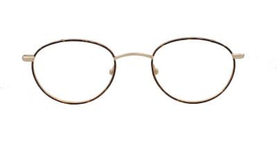 Thomas Tortoise Gold Front