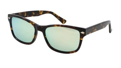 Teller Tortoise Silver Lens