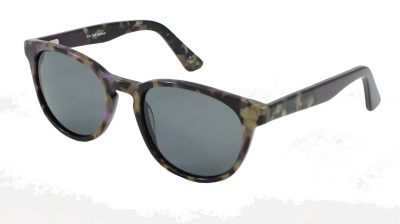 Hayden Purple Frame