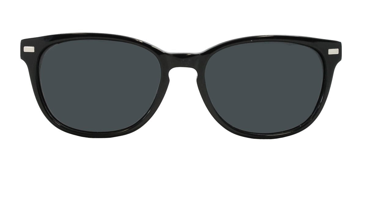 Harley Sunglasses in Black