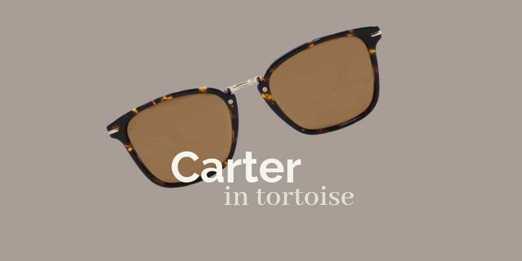 Carter Sun / Tortoise